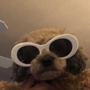 Meet your Posher, Lesley